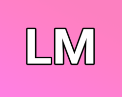 Epson SureLab SL-D3000 Tinte Light Magenta