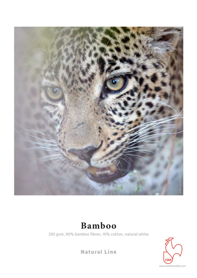 Hahnemühle Bamboo 290 – Bild 2
