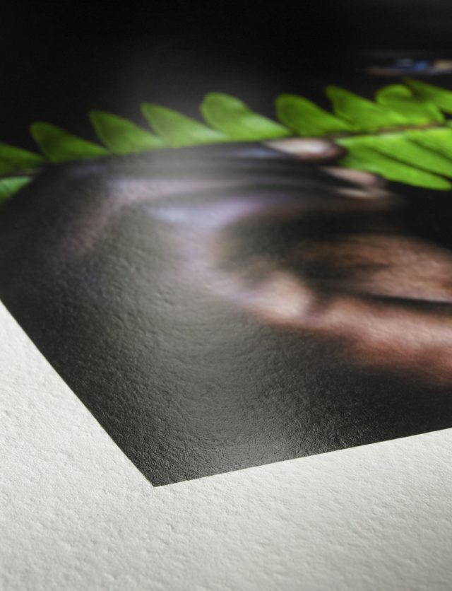 Hahnemühle Photo Rag Pearl 320