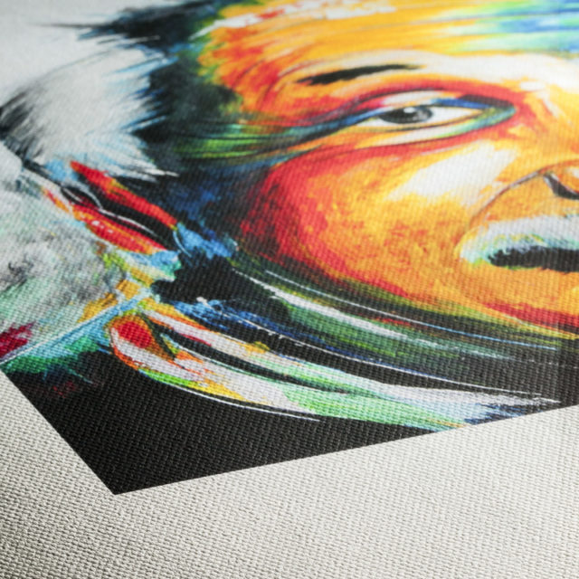 Hahnemühle Art Canvas Smooth 370